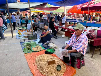 Huehuetla no enciende árbol de Navidad; priorizan reconstrucción tras vaguada