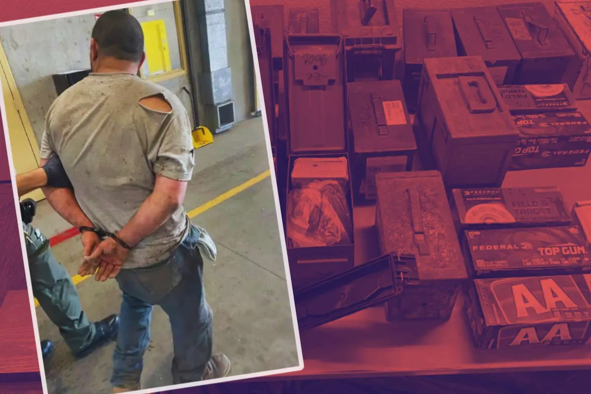 Detienen a hombre por matar a 81 animales en granja de California