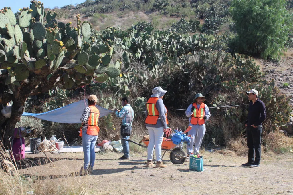 Revelan hallazgo de 11 cráneos humanos y esqueleto de jaguar en Huapalcalco; INAH guarda silencio