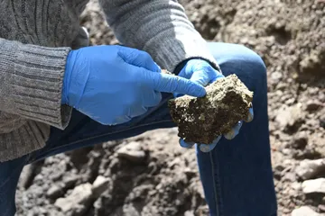 Citnova Tenango daños