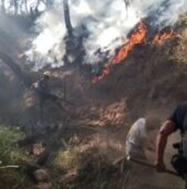 Incendios Forestales en Hidalgo