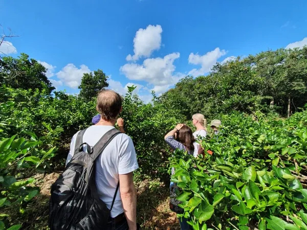 Entre tradición, naturaleza y gastronomía, estas experiencias podrían poner a Hidalgo en el mapa nacional del turismo.
