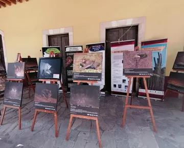 Inicia Festival Nacional por el Agua y los Bosques en Hidalgo