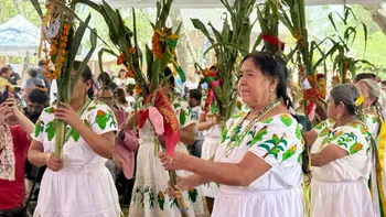 No es turismo masivo: comunidades de Hidalgo preparan recorridos, gastronomía y experiencias con grupos de hasta 12 visitantes.