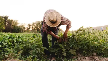 Agricultores