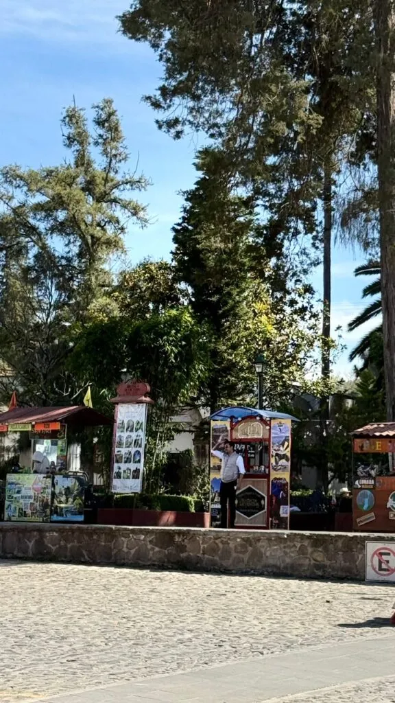 “Hidalgo está de carnaval” impulsará turismo y economía local