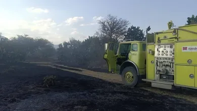 Brigadistas combaten incendio de pastizal