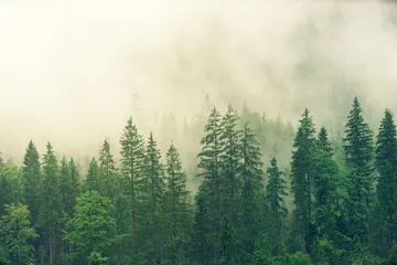 México no firma acuerdo climático de Glasglow