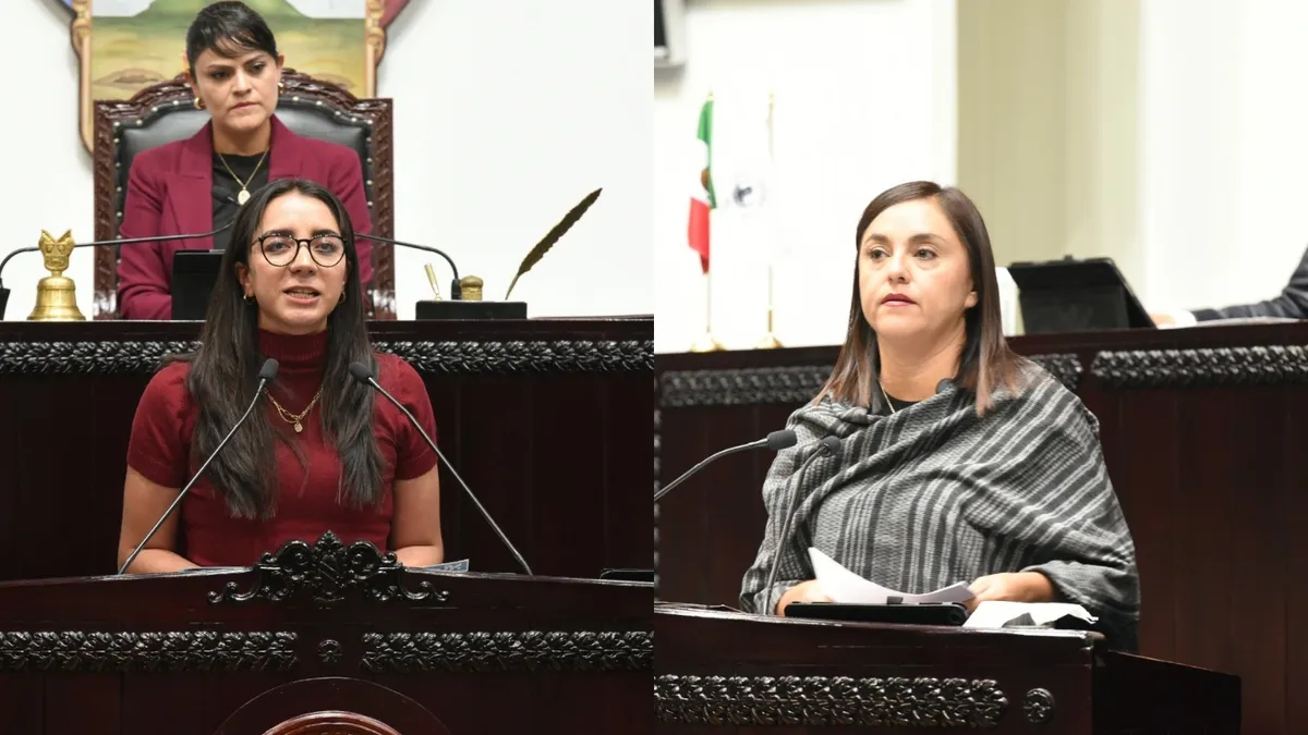 Diputada de Nueva Alianza y Morena