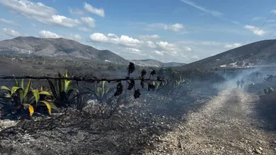 Incendio en pastizales en Cardonal