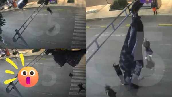 Paracaidista queda atorado en un semáforo de Avenida Balderas en el Centro Histórico de la CDMX.