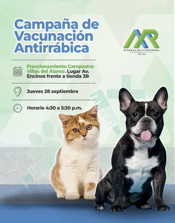 Iniciará campaña de vacunación antirrábica en Mineral de la Reforma