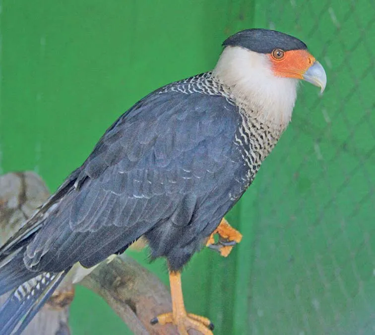 Unidad de Rehabilitación celebra una década