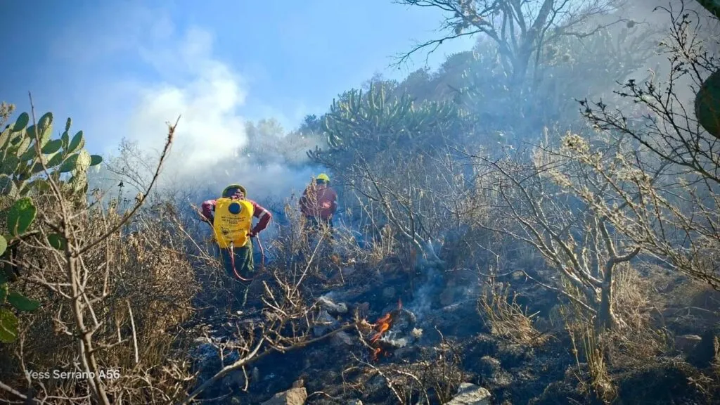 Incendio forestal en Tezontepec de Aldama deja 20 hectáreas afectadas, confirma Presidencia Municipal