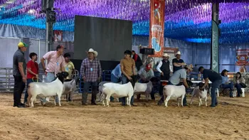 Entre ganado, música y gastronomía, así se vivió el último día de una feria que logró convocatoria y saldo blanco en Hidalgo