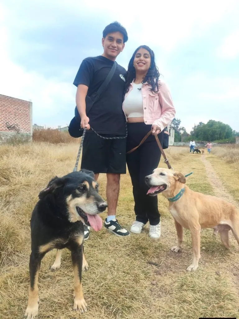 ¡4 de cada 10 perros viven en abandono! Alertan por sobrepoblación canina en Tizayuca
