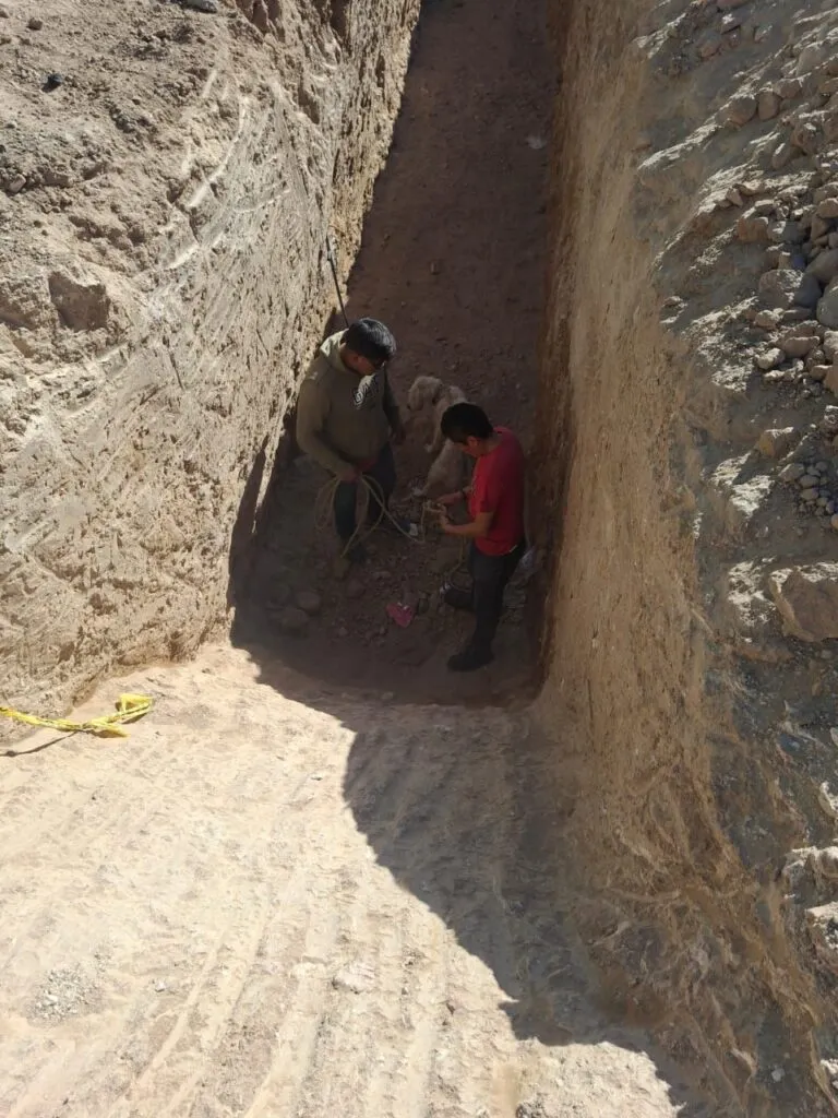 Perrito es rescatado con vida tras caer en obra pluvial en Mineral de la Reforma