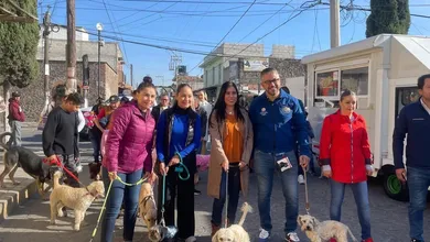 Autoridades y voluntarios realizan jornada gratuita de esterilización y vacunación de mascotas en Villa de Tezontepec