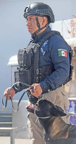 Rapidez y agudeza en tareas de seguridad