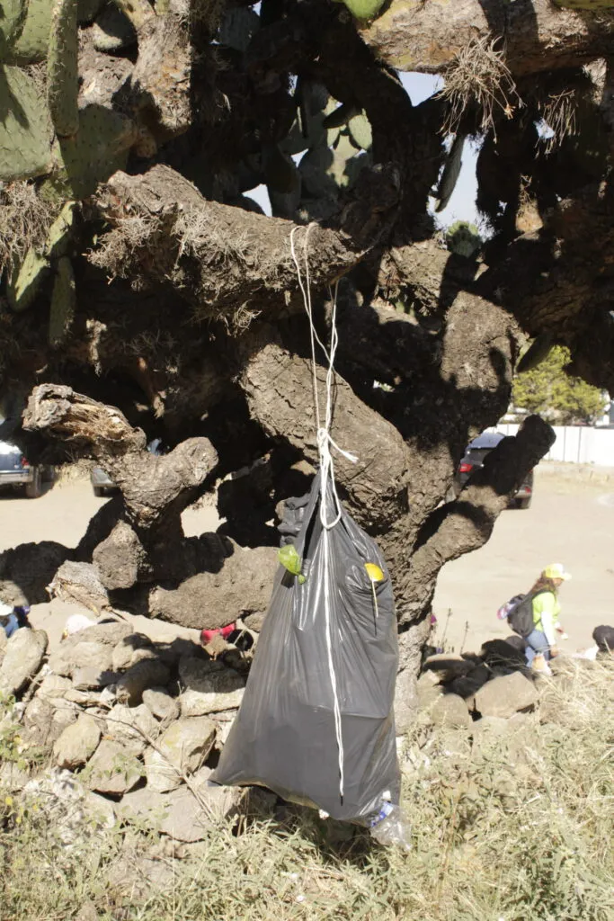 Revelan hallazgo de 11 cráneos humanos y esqueleto de jaguar en Huapalcalco; INAH guarda silencio
