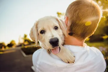Mascota
