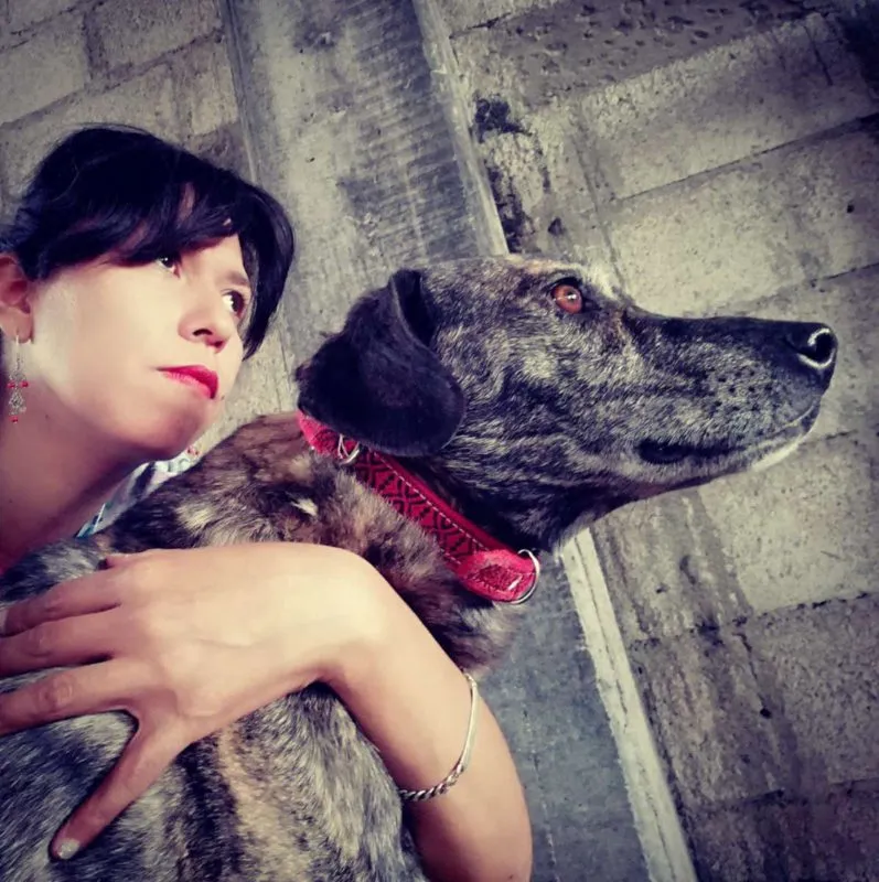 Cuatro patitas un corazón: 10 años de defensa animal