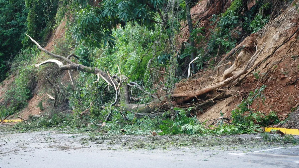 Derrumbe en la carretera