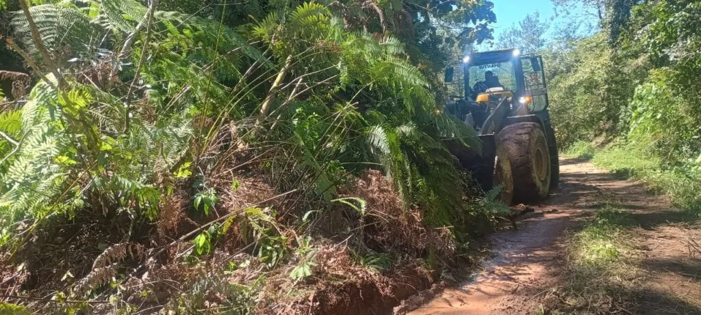 Reabren vías y carreteras en Sierra Alta, Sierra Baja y Otomí-Tepehua