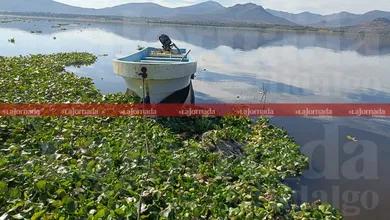 presa Endhó