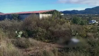 hallazgo de un hombre sin vida en Santa Catarina, San Agustín Tlaxiaca