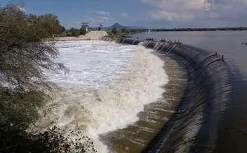 Presa Endhó: Animales cambian su fisiología para adaptarse a contaminación