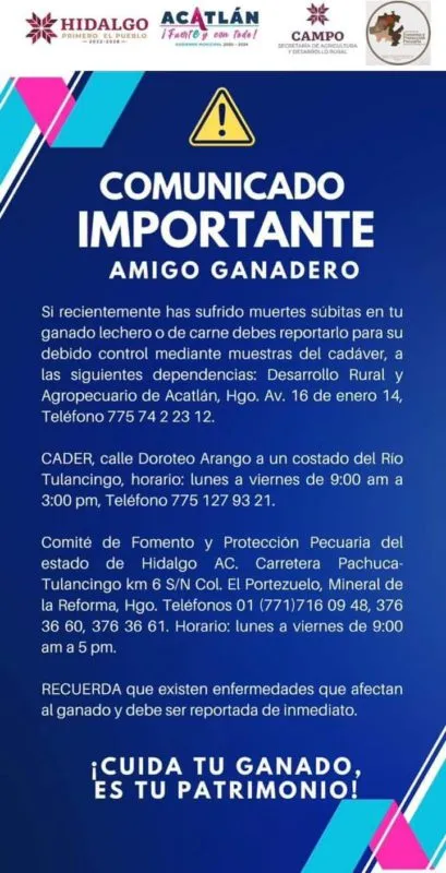 Valle de Tulancingo: piden informar muertes súbitas de ganado