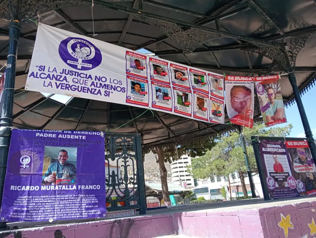 8 de Marzo: en Pachuca, colocan tendederos de deudores alimentarios