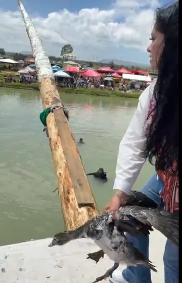Critican a alcaldesa por aventar aves como objetos en feria de Santiago Tulantepec