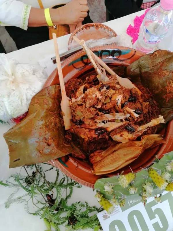 Habrá mercado exótico en Santiago de Anaya