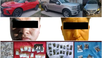 Evidencia de autopartes y droga asegurada por la SSPH en operativo en Cuautepec.