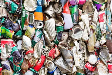 Inegi: unidades económicas de Hidalgo lideran en uso de reciclados