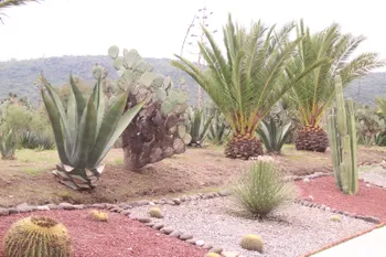 Cerro de Cubitos