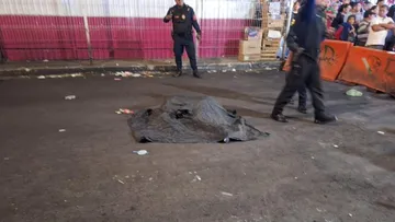 Muerto