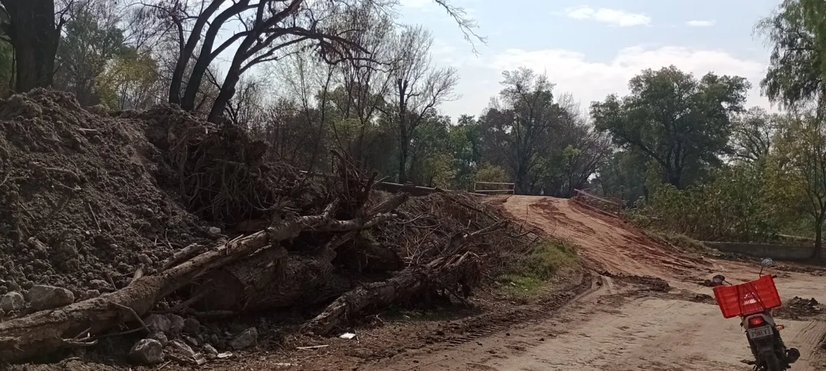 Alertan por tala en área ecológica protegida de Tula