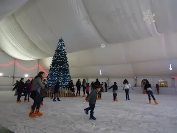 Pista de Hielo