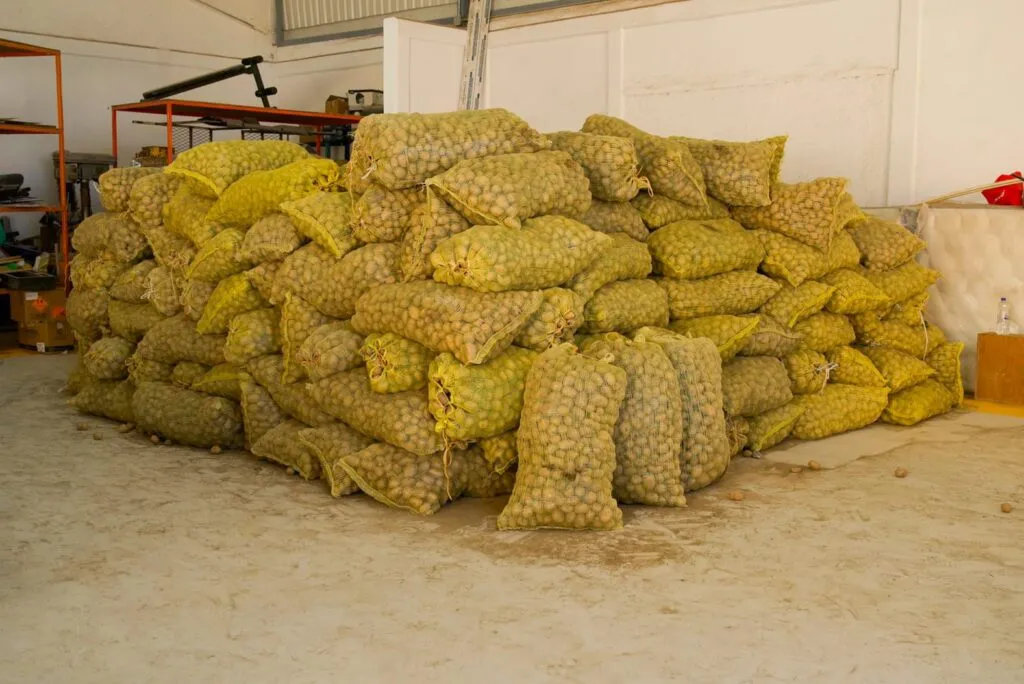 Productor de Metztitlán dona 15 toneladas de papa para familias afectadas por lluvias en Hidalgo