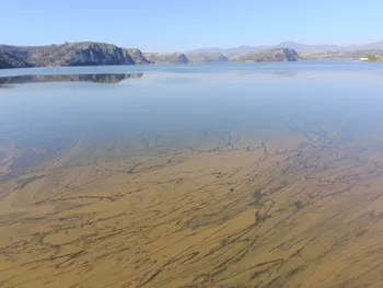 Comienza descenso de presas en Hidalgo; Vicente Aguirre pierde 16% en un mes
