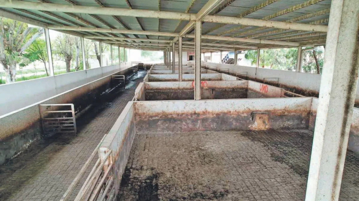 El Ayuntamiento de Pachuca impulsa la modernización del Rastro Municipal con trabajos de mantenimiento integral.