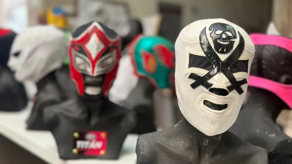 Pachuca aprueba reglamento para lucha libre y boxeo profesional