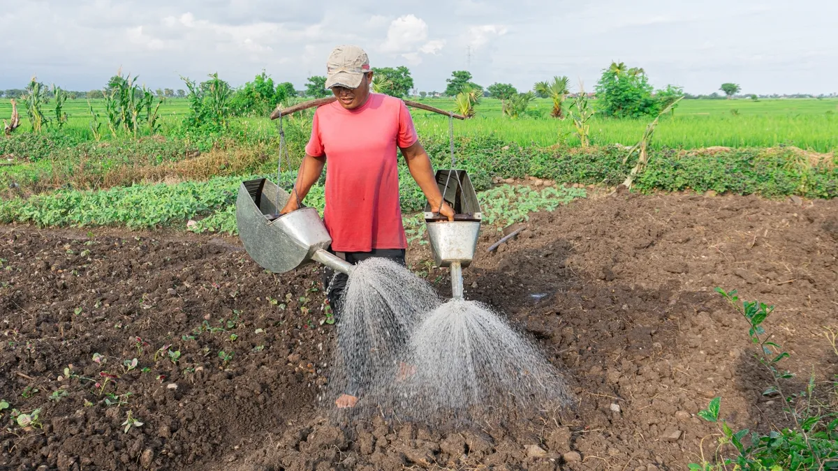 Hombre trabajando en el campo