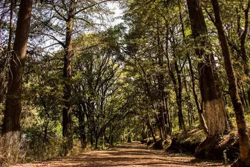 Tres parques poco conocidos cerca de Pachuca para visitar en fin de semana