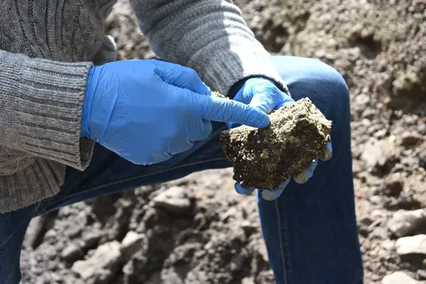 Citnova Tenango daños