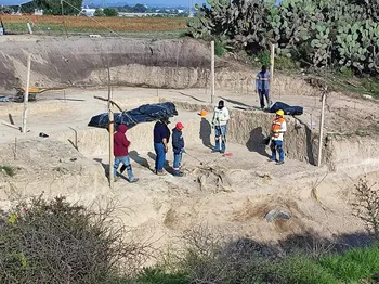 Hallan posibles restos de mamut en Tizayuca