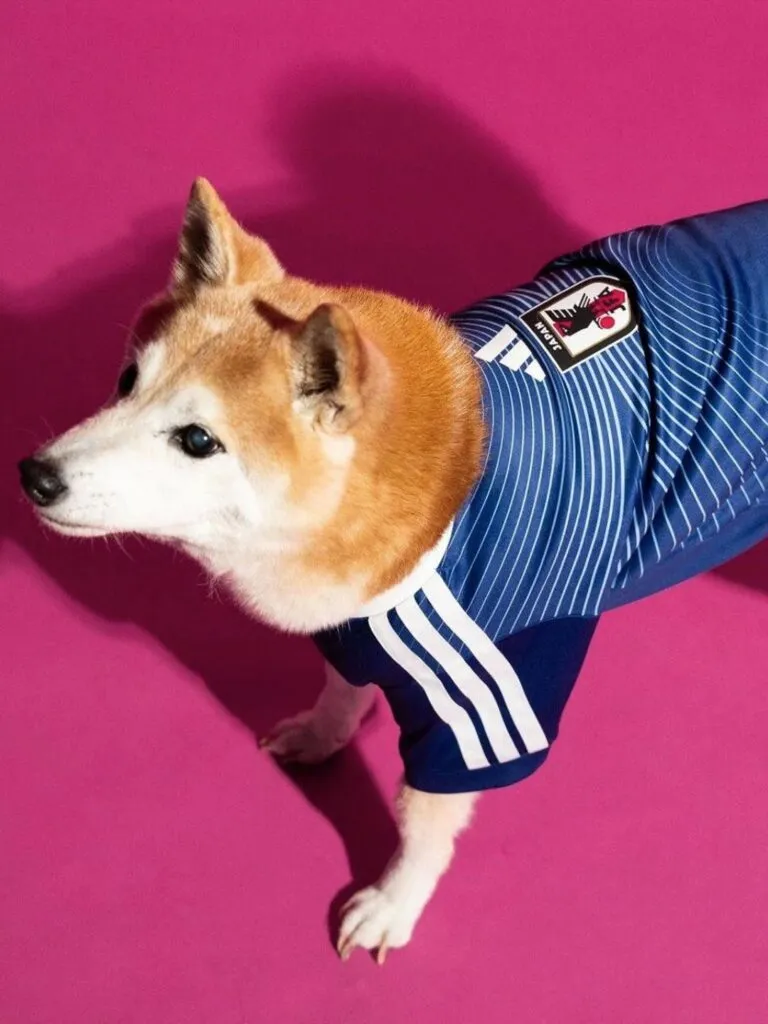 Adidas lanza jerseys para mascotas inspirados en el Mundial 2026